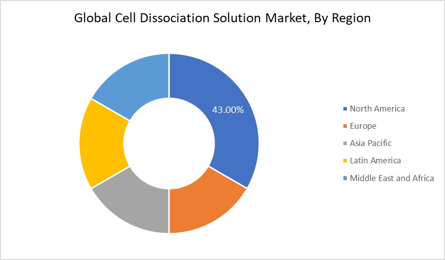 Cell Dissociation Solution Market By Region