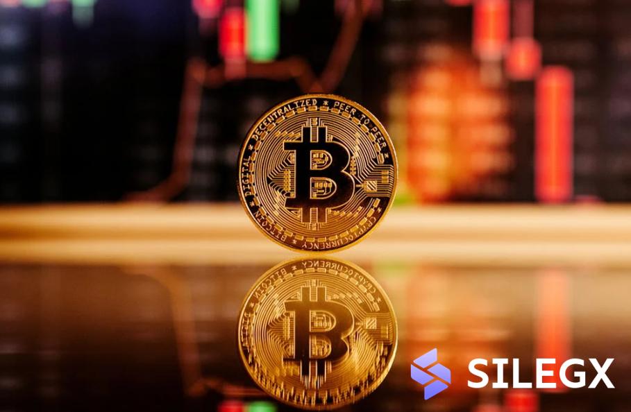 SILEGX Exchange