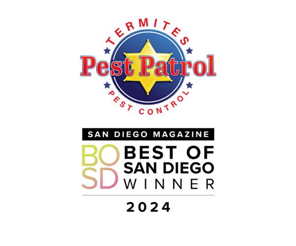 Best of San Diego Press Release