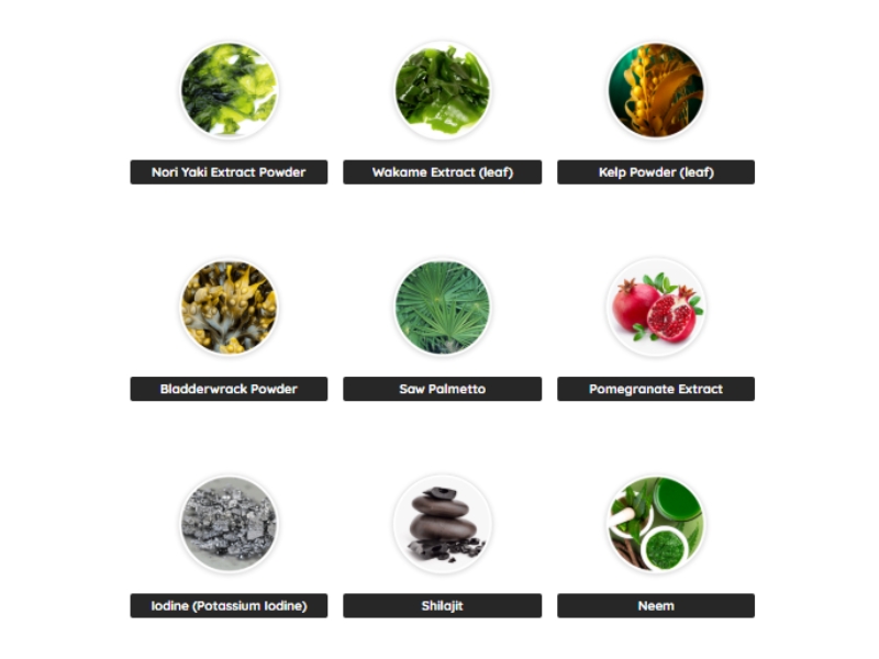 Deep Dive into PotentStream’s Ingredients
