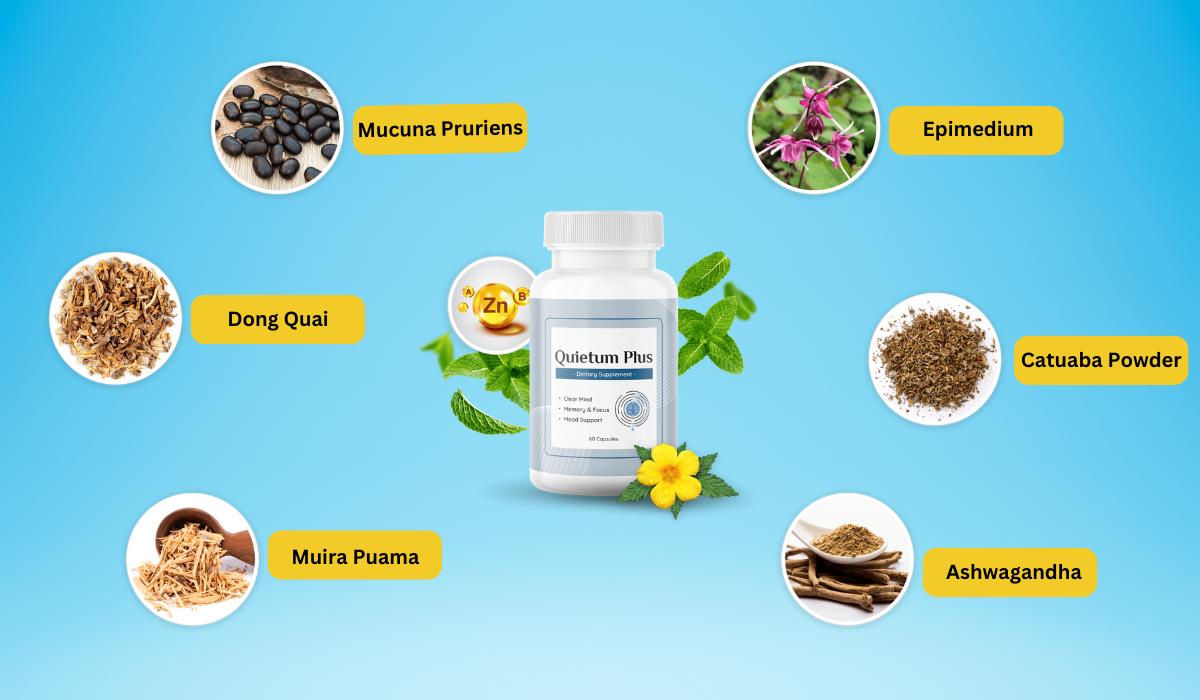 Quietum Plus Ingredients