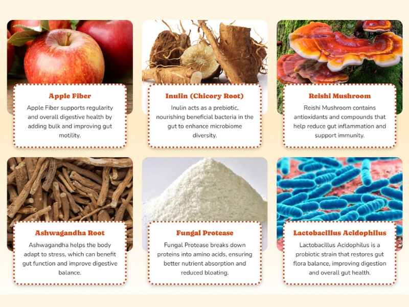 Deep Dive into SerenaFlow’s Ingredients