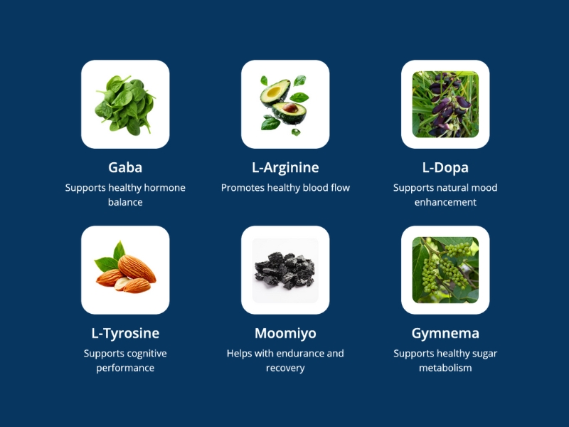 Stratos Boost Ingredients