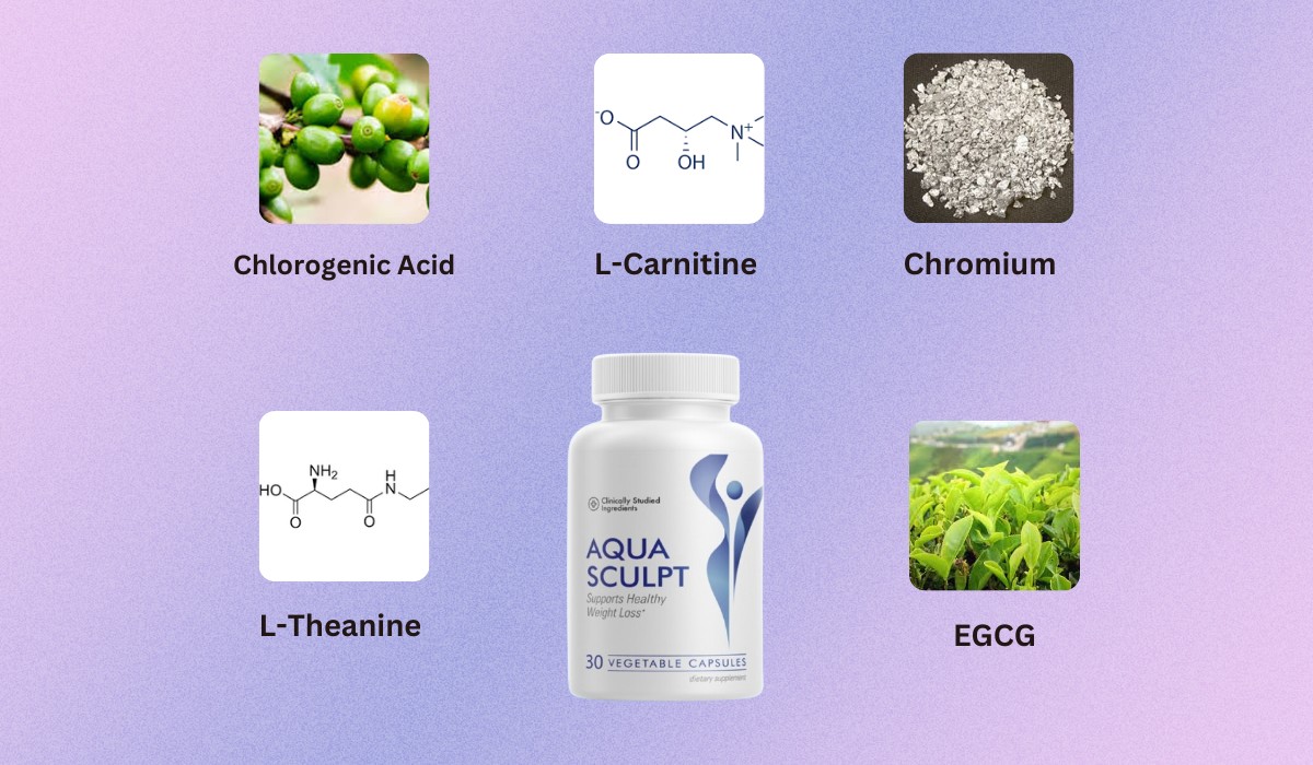 Ingredients in Aqua Sculpt