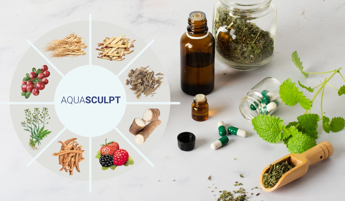 AquaSculpt Ingredients