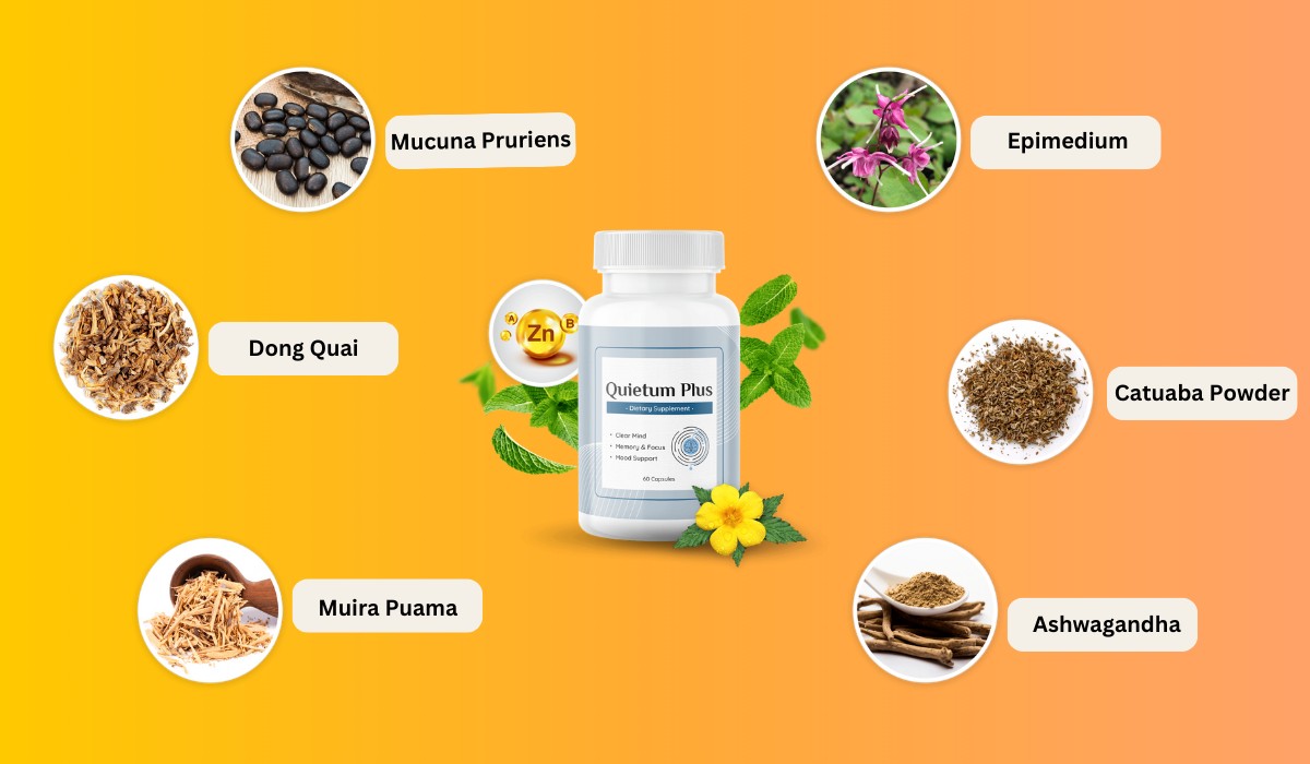 Ingredients Used In Quietum Plus