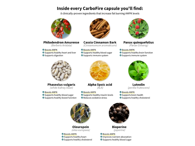 Deep Dive into CarboFire Ingredients
