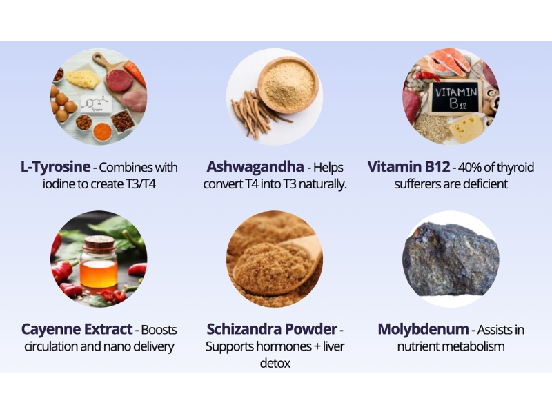 Complete Thyroid Review Best Natural Thyroid Renew Supplement Backed by Science Ingredients
