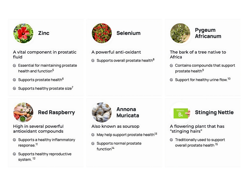 Empower Health Labs Beyond Prostate Ultimate Men's Support Formula with Saw Palmetto Berries Ingredients