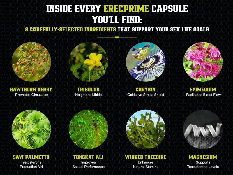 ErecPrime Proven Ingredients to Support Natural Male Enhancement