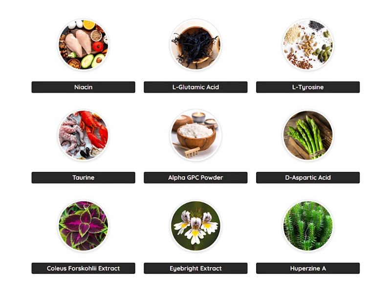 EyeFortin Ingredients and Their Role in Supporting Eye-Brain Health