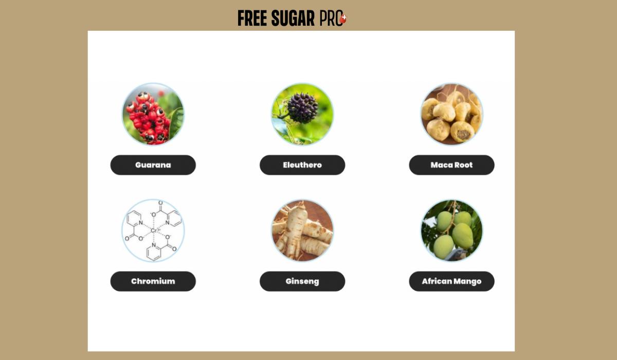 Free Sugar Pro Ingredients