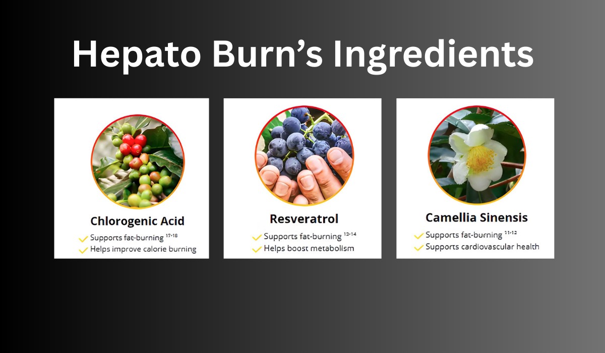 HepatoBurn Ingredients