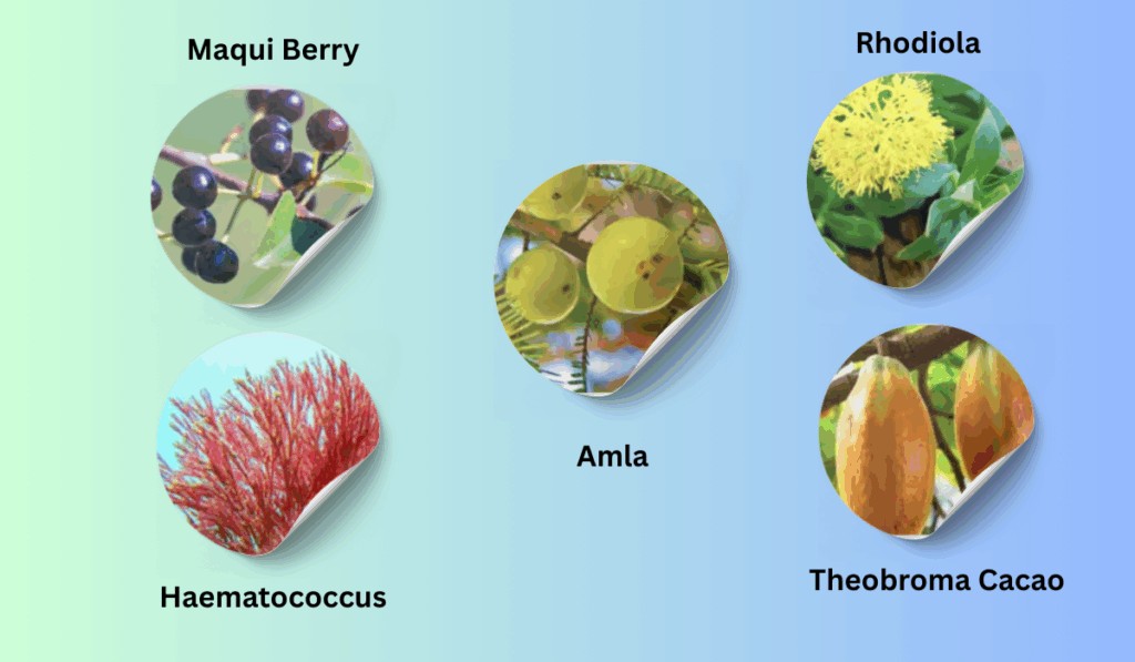 Mitolyn Ingredients