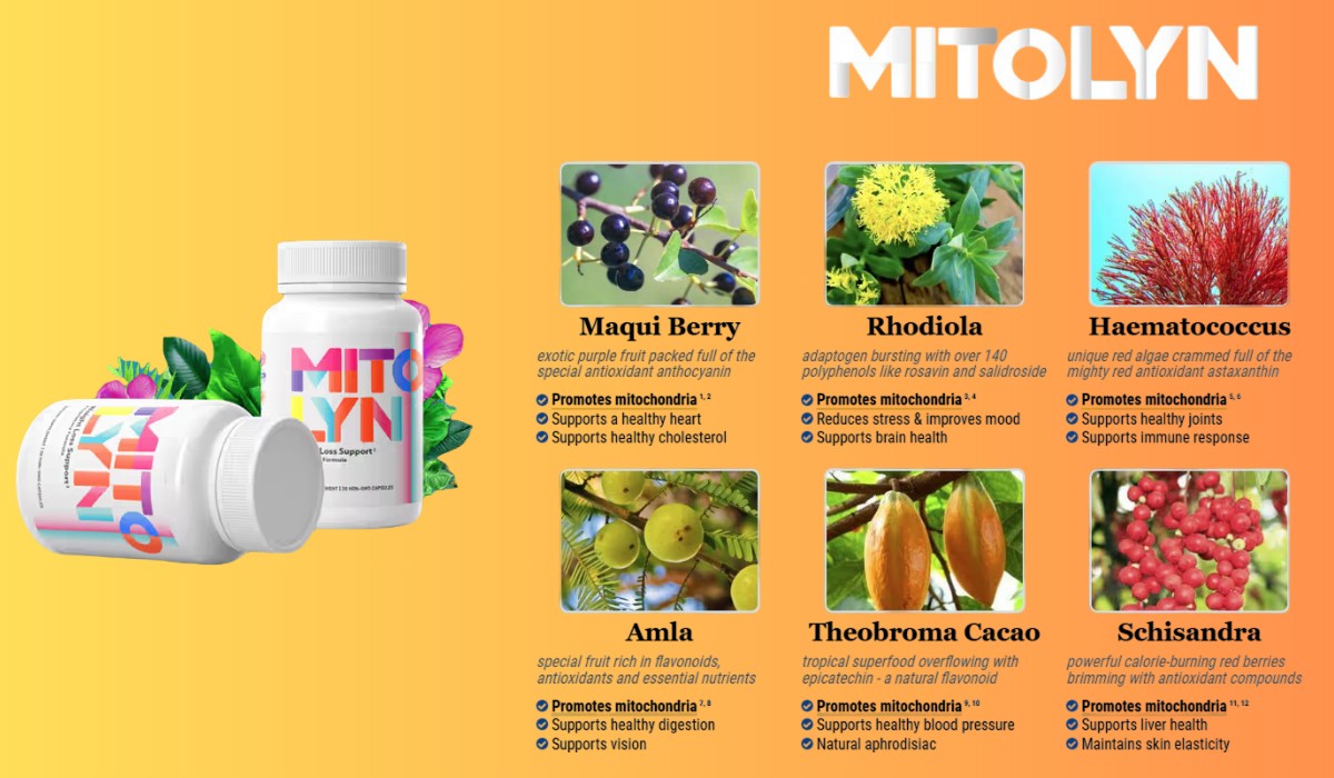 Mitolyn Ingredients