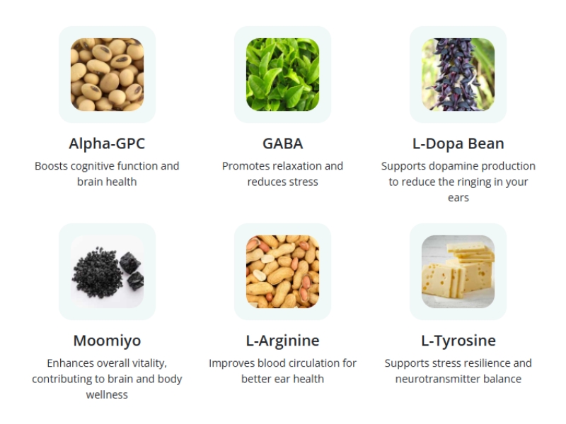 NeuroQuiet Complaints Investigated 2025 User Reviews Tested and Verified Ingredients