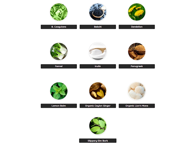 PrimeBiome Complaints Must-Read Insider Investigation (Detailed Write-Up Inspection) Ingredients