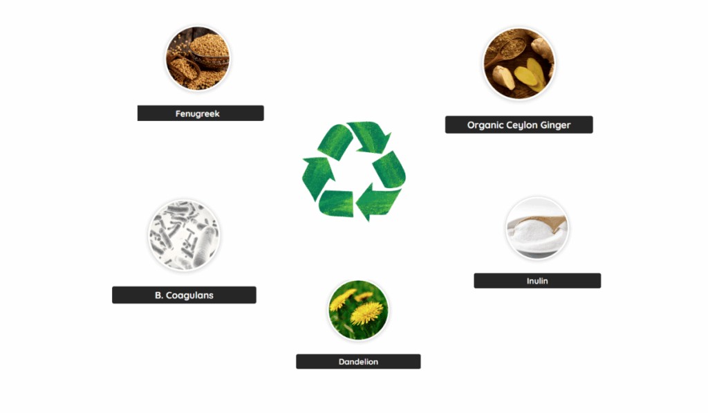 PrimeBiome Ingredients