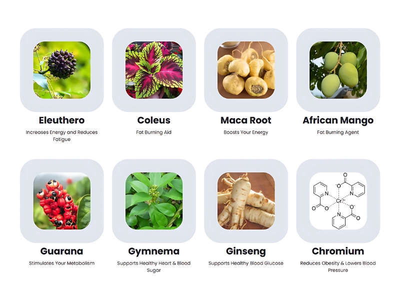 Sugar Defender Complaints Investigated 2025 User Reviews Tested and Verified Ingredients