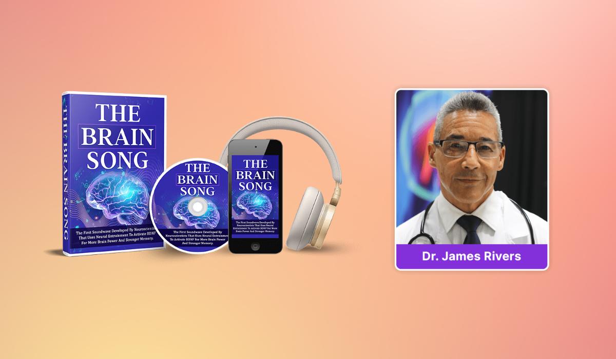 How The Brain Song Works